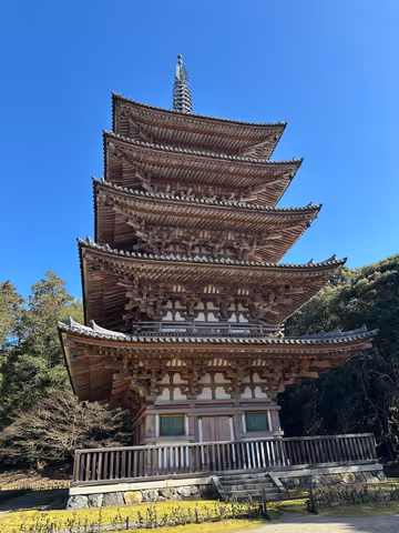 Daigo-ji Temple Experience 3-hour tour