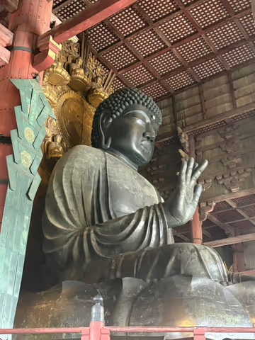 Nara Highlights Day Tour: Ancient Capital & Sacred Deer