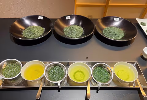 Spring Exclusive: Premium Matcha & Wagashi Experience with Factory Tour