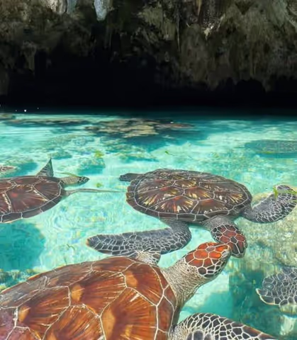 Zanzibar: Private Salam Cave & Mtende Beach Experience