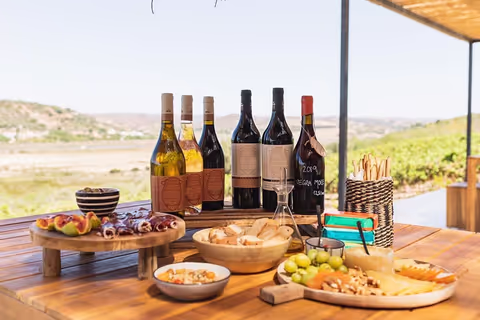 Wine Tasting by Boat to the Vineyard - Lagos, Algarve!