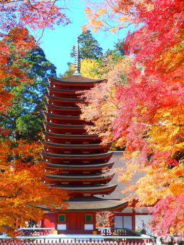Nara Asuka Private Tour: Explore Japan’s Origins by Car (Tanzan Shrine & More)