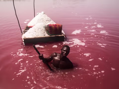 Pink Lake & Bandia Safari Tour – 8 Hours Nature Experience