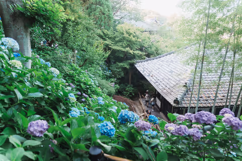 Kamakura Photo Walk Full-Day Tour: Temples, Coast & Enoden Ride