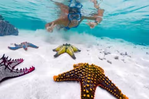 Zanzibar: Blue Lagoon Snorkeling, The Rock Restaurant & Paje Beach Tour