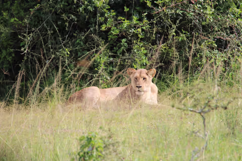One Full Day Game Drive Experience at Akagera National Park