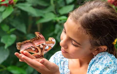 Zanzibar: Jozani Forest & Butterfly Garden Guided Tour