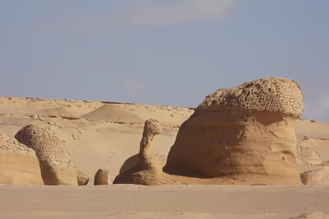 All inclusive Fayoum oasis, Whale valley, the paradise of Egypt !