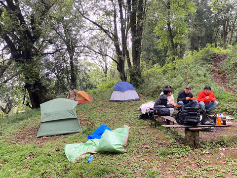 2-Day Mount Elgon National Park Easy Hike To Tutum Cave