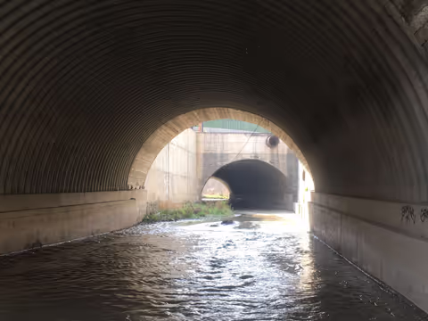 Tbilisi's Secret Rivers: Experience the Hidden Side of the City