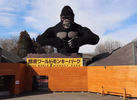 Nasu Highlights: A Whirlwind Day in Tochigi’s Royal Resort