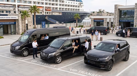 Bodrum Cruise Port: Bodrum City Historical and Heritage Private Tour (Up to 15 Guests)