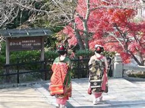 Private Transfer between KIX Airport and hotel in Kyoto