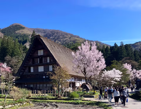 【Private Car Tour】Shore Excursion: Shirakawa-go World Heritage Tour