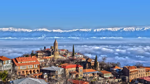 Tbilisi-Kakheti Wine Region Private Day Trip