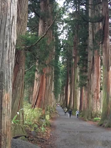Visiting Togakushi Shrine and Zenkoji Temple in Nagano