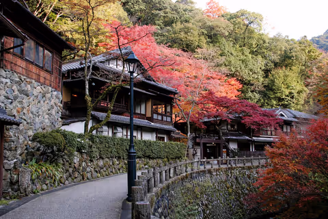 Osaka natural y antigua, un viaje diferente