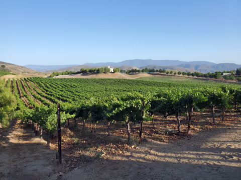 Cycling and Wine Tasting Tour of Solvang