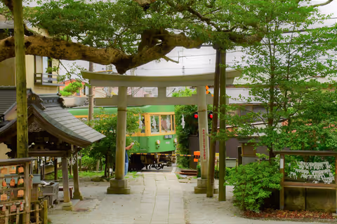 Private half day tour of Kamakura by Enoden train!