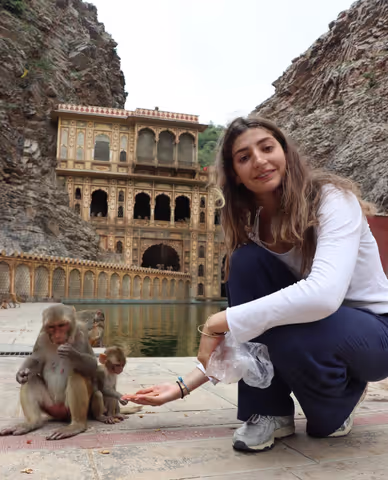Same Day Jaipur Sightseeing Tour with Local Flower Market & Galta Ji (Monkey Temple)