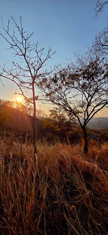 Game Ranch Hike and nature tour