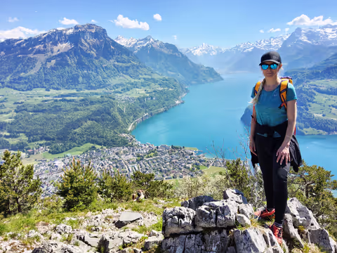 Spectacular Hidden Gem Day Tour – Swiss Alps, Lake Lucerne & Summit Restaurant Experience