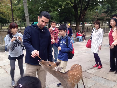 Nara Highlights: Personalized One-Day Private Tour