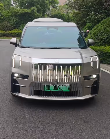 Shanghai Family Full-Day Tour with 7-Seater MPV(1-6pax)