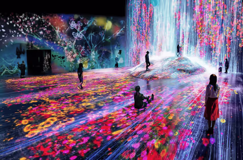 Summer or Winter Indoor Tour in Tokyo