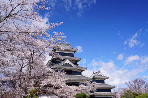 Matsumoto Castle and Daio Wasabi Farm in Nagano
