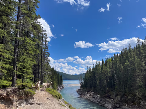 Banff's Glacial Lakes & Hidden History - From Calgary