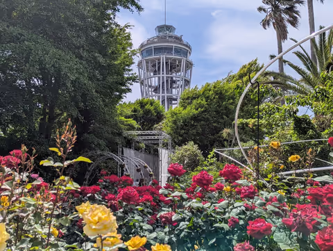 Half-day tour to Enoshima island