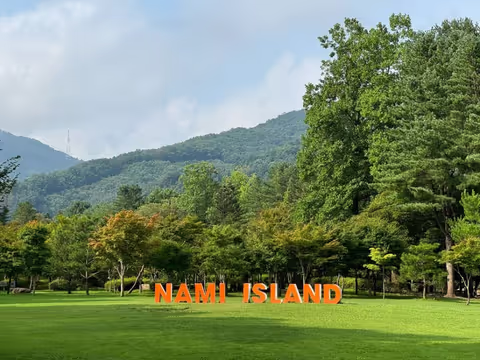 Nami Island Private Tour from Seoul