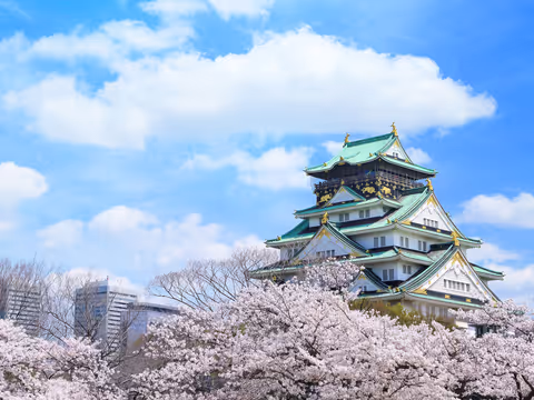 Osaka Highlights – 9-Hour Private Driver-Guide Tour