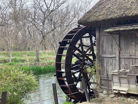 Azumino Winery, Sake Brewery (Daisekkei), Daio Wasabi Farm from Hakuba or Matsumoto (Nagano)