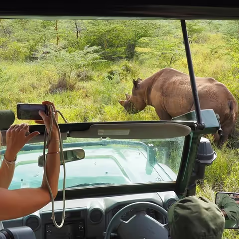 Mkomazi National Park Day Trip Safari from Moshi (Private Safari)