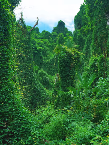 Hangzhou’s Wizard of Oz: Secret Mountain Hike