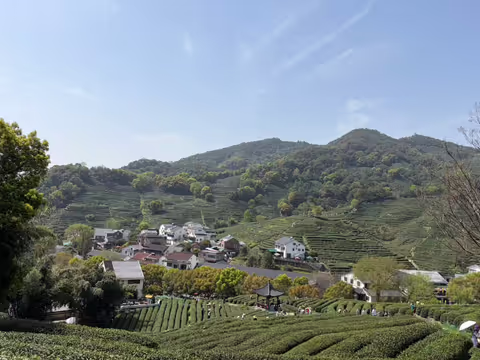 Hangzhou in Depth: Zen Temple, Tea Village, Ancient Crafts & Grand Canal
