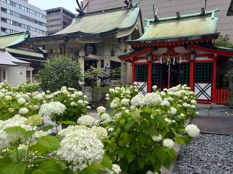 Discover Everyday Osaka: Shrines, Temples, Food & Shopping