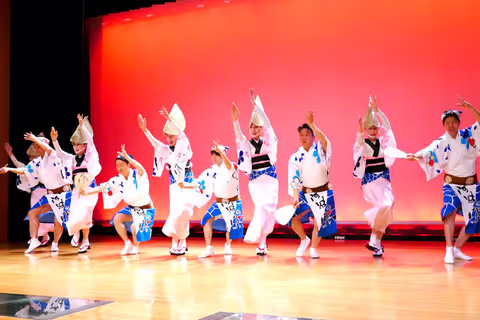 Tokushima city 1 day tour