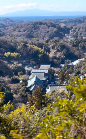 The Zen Journey: Kamakura's Top Zen Temples, Meditation, Sutra Copying & Matcha
