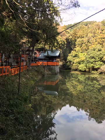 Fushimi Inari's Secret Mountain Trails Morning Hike