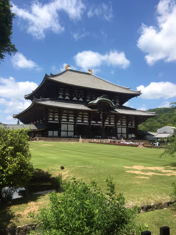 Nara Highlights: Deer, Temples & Ancient History