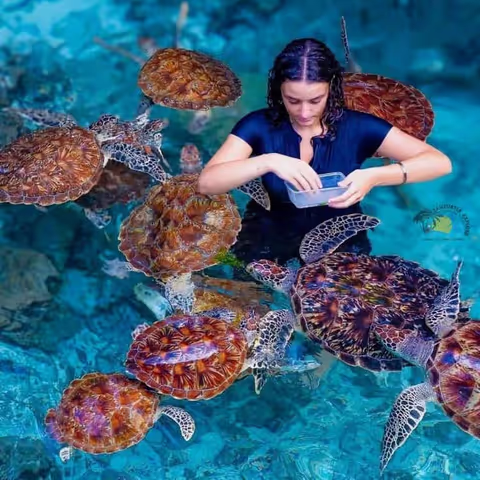 Private North Zanzibar Cultural & Coastal Heritage Tour