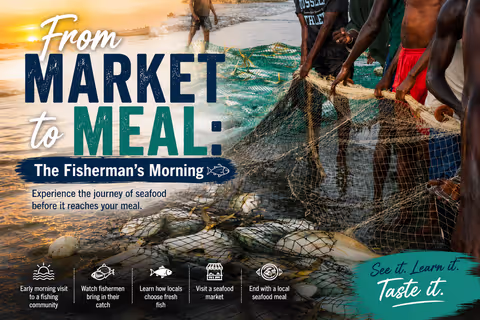 From Market to Meal
