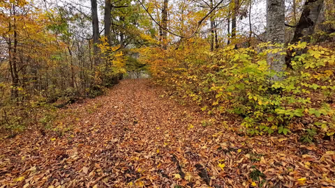 Private Forest Hike: Parz Lake to Goshavank & Lake Sevan