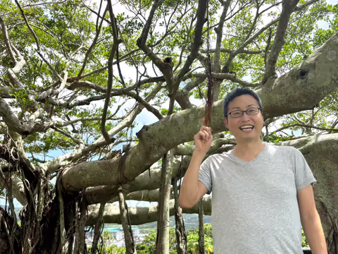 Discover Southern Okinawa Peace Memorial Park, Sefa Utaki & Cape Chinen