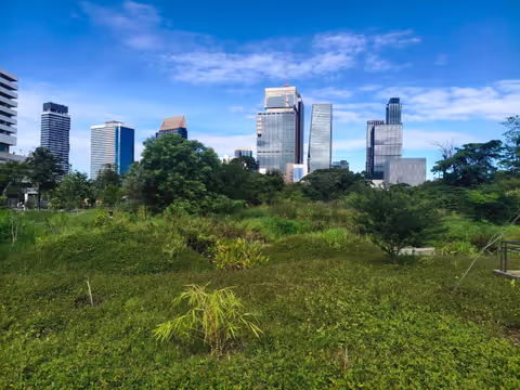Twilight Park Walk & Easy Jog: Scenic Views & Local Vibe