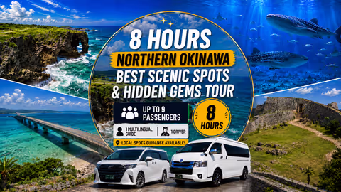 Northern Okinawa Scenic & Hidden Gems Tour 1–9 Guests（8H)