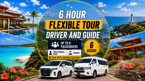 Private Okinawa Flexible Tour with Driver & gual Guide1–9 Guests（6H）